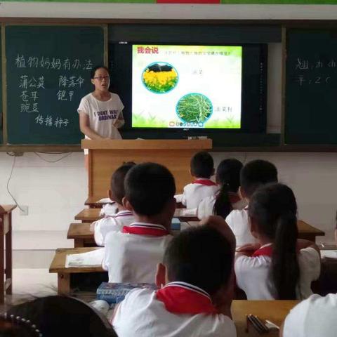 第二实验小学西校区教学“大教研”“大比武”拉开帷幕