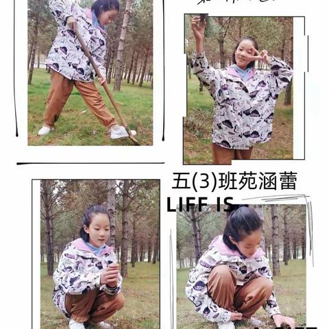 喜迎国庆，感受丰收之喜悦——右玉一小五（3班）