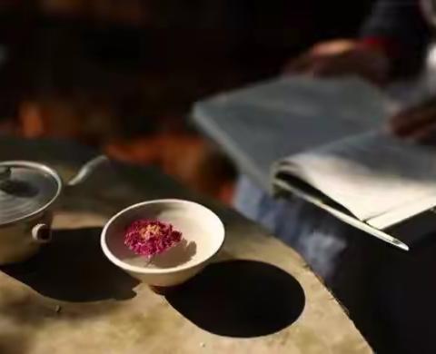 我读我所爱，我手写我心