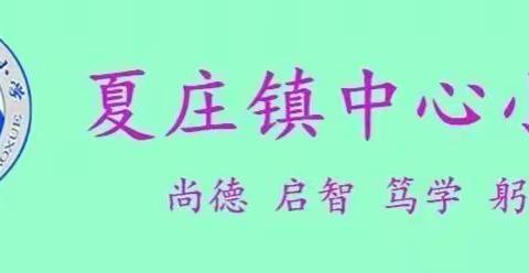 教师培训共成长，蓄势待发新征程———记2022年夏庄镇中心小学语文教师暑期培训