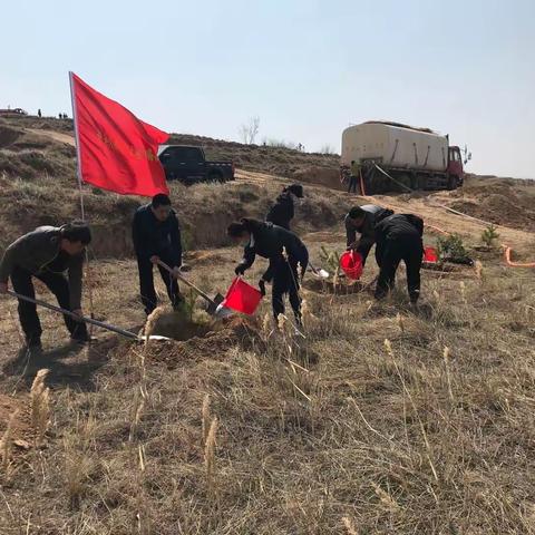 春回大地万物醒，植树添绿正当时 清水河县委编办积极参与全民义务植树活动