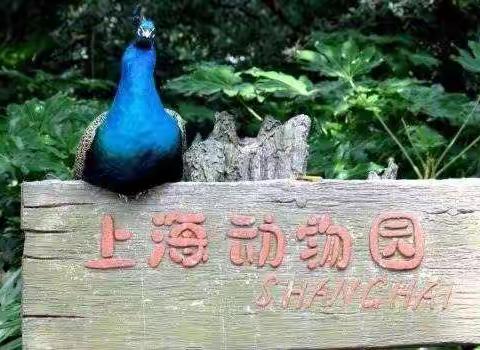 上海西郊公园