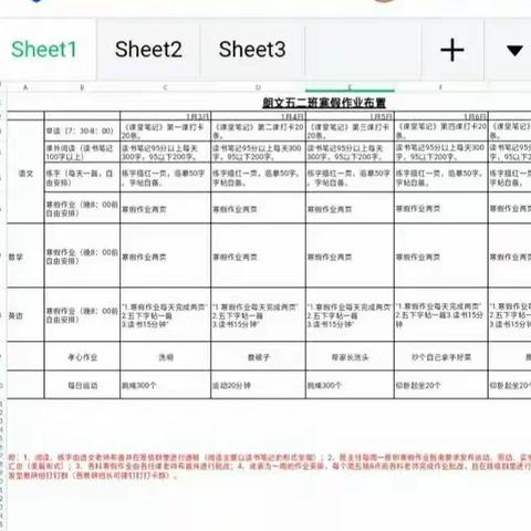 新年焕新样， “兔”必No. 1——司外小L 52班第一周寒假实践作业