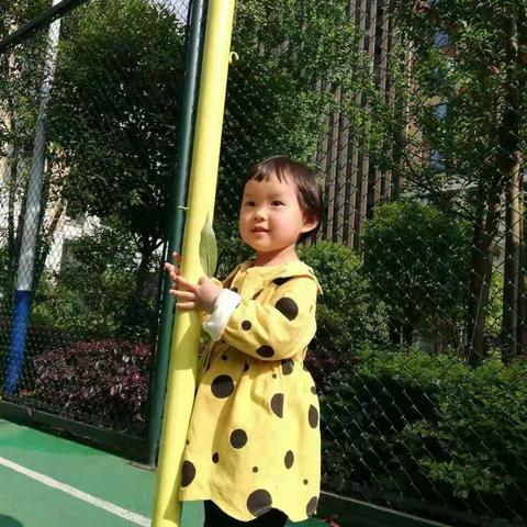 Dream   bady  陈瑾依成长记