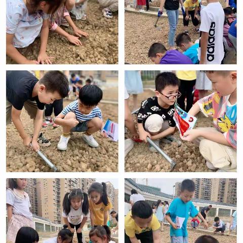 硕果累累辞旧岁 扬帆起航迎新春————恩施市硒都民族实验小学209班学期回顾