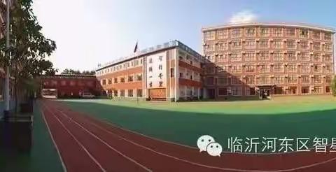 小组合作，让学习真实发生（校内分享①）