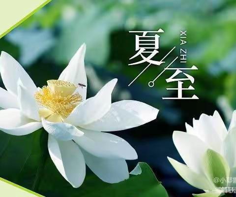 中一班节气活动——夏至