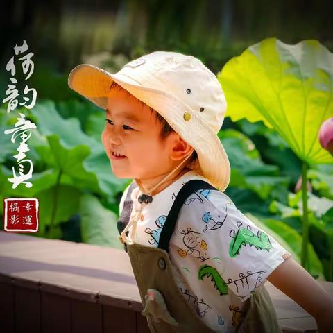 超广拍荷花，也挺好