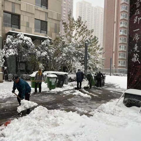 舜华路街道金谷片区——开展积雪清扫活动   保证居民出行安全