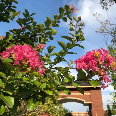 陪你奇奇怪怪 懂你可可爱爱