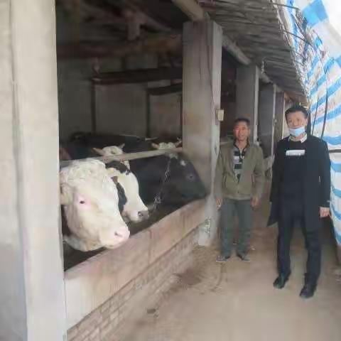 打击非法金融放贷  共建平安金融生态邮储银行祁县支行在行动