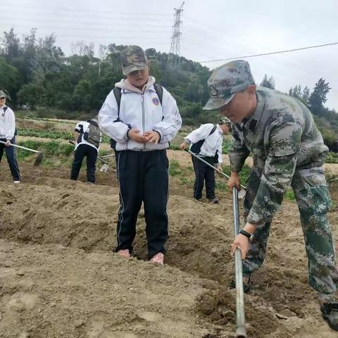 大仑中心小学五年二班参加素质教育实践活动(三)