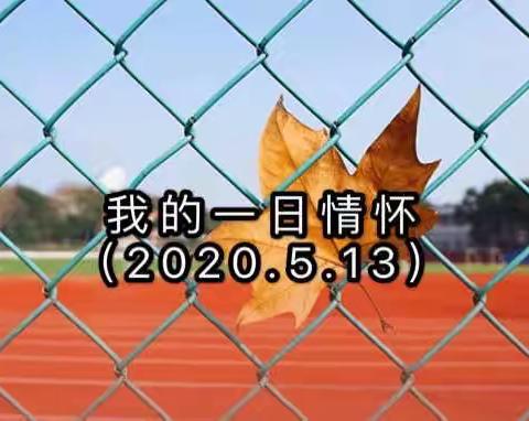 我的一日情怀（2020.5.13）
