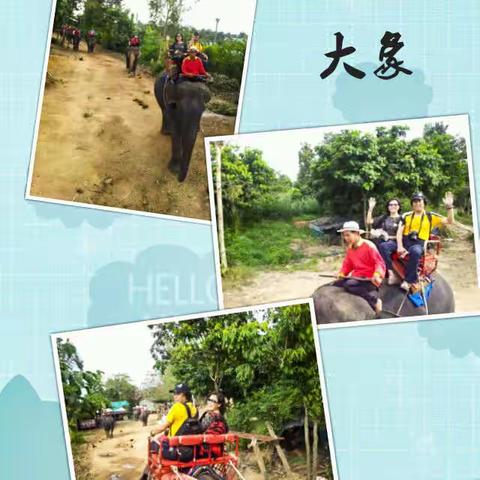 泰国旅游~聪明的大象