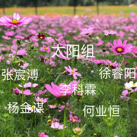 太阳组暑假小结～精彩回忆