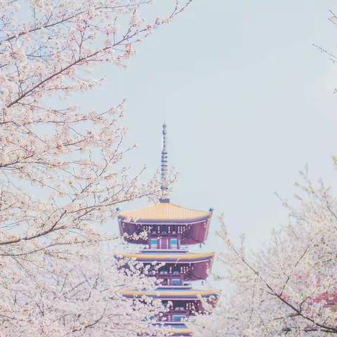 2014（2）班——点滴记录