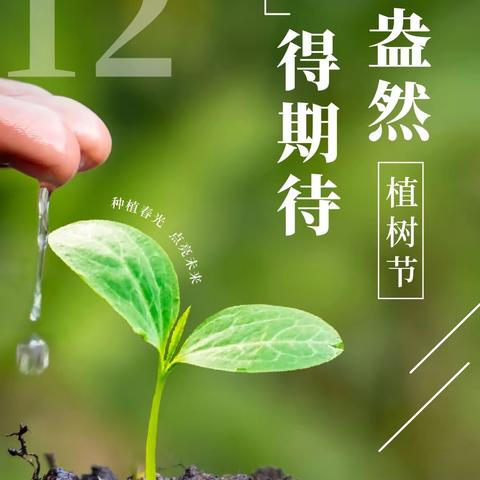 绿色行动，携手抗“疫”——建业幼儿园植树节线上活动