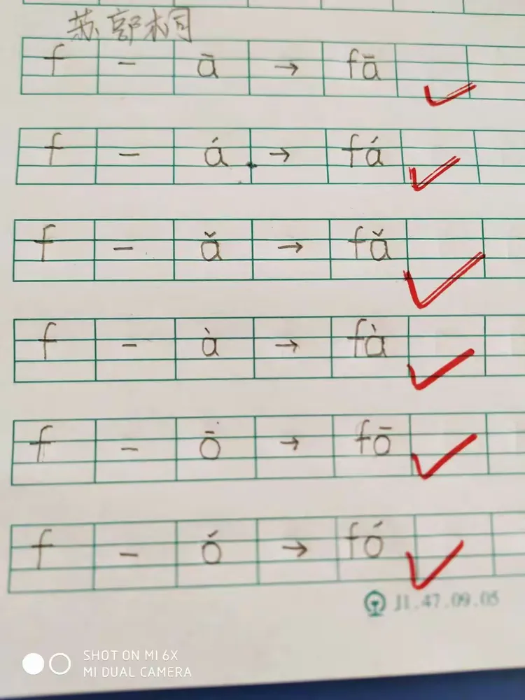 拼音我们不仅会读还会写。