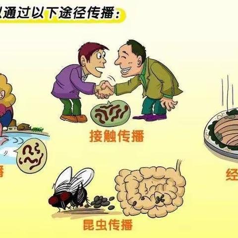 夏季肠道传染病预防，早知道