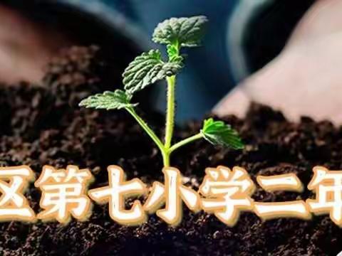 “疫”样种植 遇见美好——利通七小二（1）班开展居家种植活动