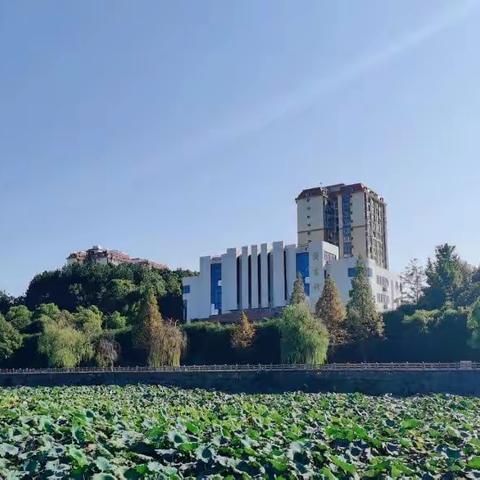 国培成就你我，你我点亮国培，——怀化学院“ 国培计划（2021）”小学美术骨干教师工作坊研修（A309）线下集中培训