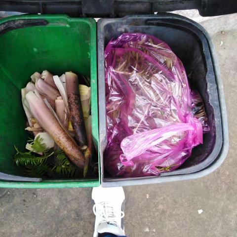 以身作则，做好垃圾分类