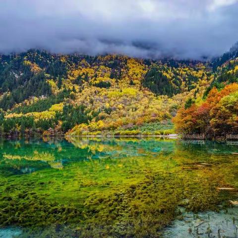 秋风拂水岸，彩叶绘江山