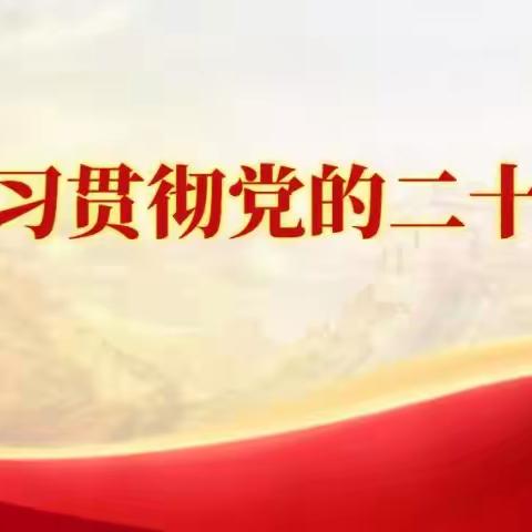 深学细悟，勇毅前行——后所社区党总支学习贯彻党的二十大精神