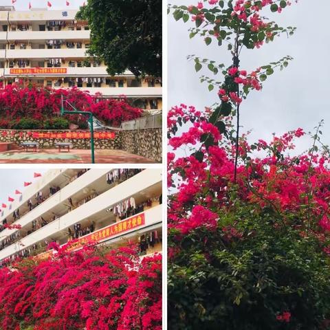 美丽校园 美丽班级 美丽宿舍