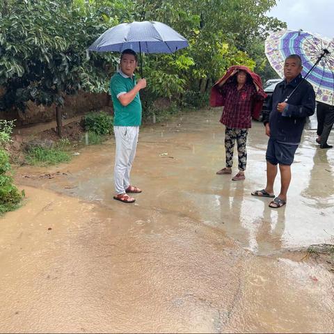 冯村镇：新庄村“雨水不停、防汛不止”