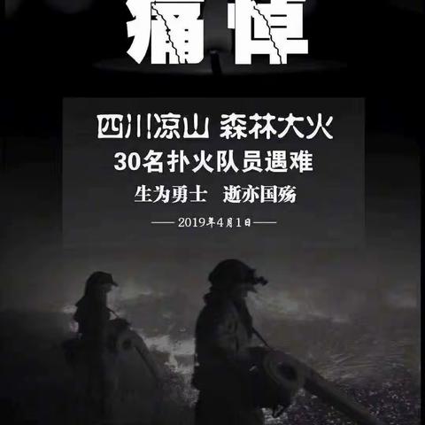 《感谢您，最可爱的人》