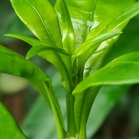 风雨过后