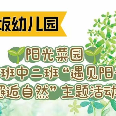 阳光菜园——下坂幼儿园中一班中二班“遇见阳光，邂逅自然”主题活动