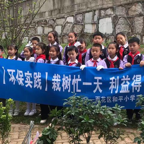 【环保实践】栽种忙一天利益得百年 和平小学二（7）班