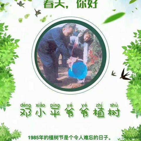 我们用这样的方式向春天问好 ——实验小学2020年“植树节”活动倡议