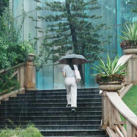 泣数华为手机七宗罪