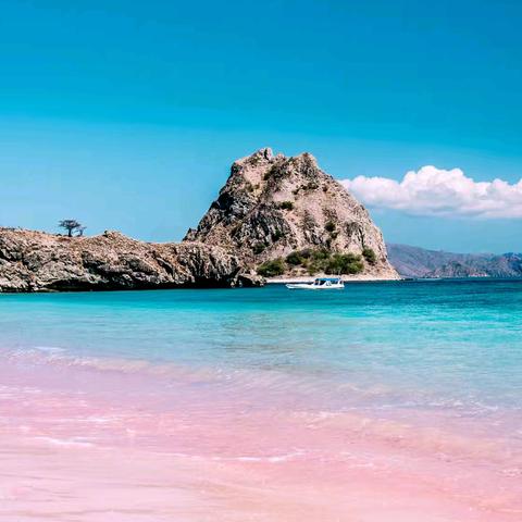 眼在天堂，身处地狱——印尼科莫多(三)