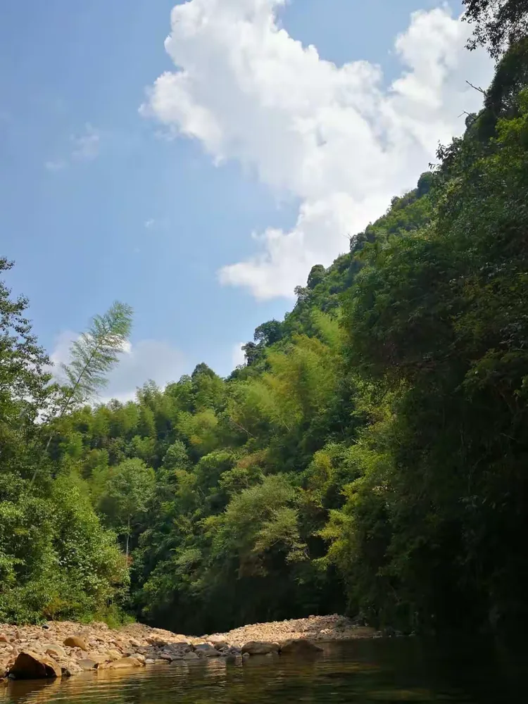 马头山
