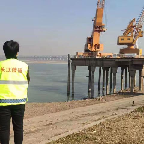 红钢城街道公共管理办2023年4月8日工作情况