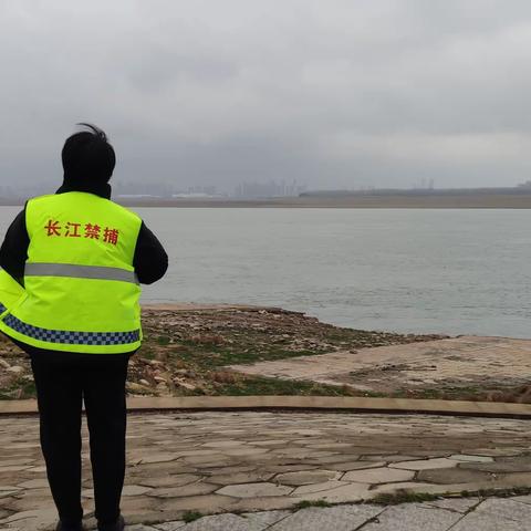 红钢城街道公共管理2023年2月18日工作情况