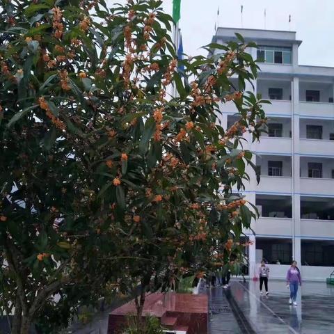温暖井岗，温馨之家