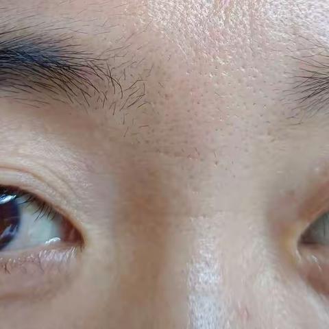 独自流泪的孤单