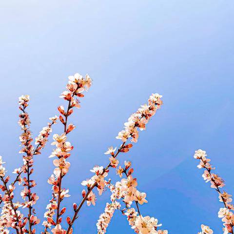 瘾·书情——且听风吟，记一笔单小人儿