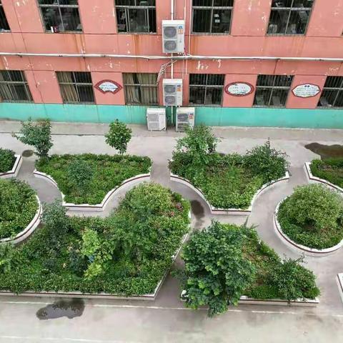 临汝镇第四中学2017年中招喜报