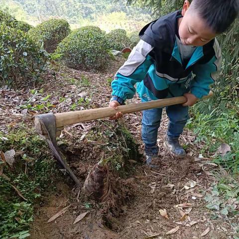 硒都民族实验小学101班郭尹浩