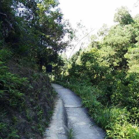 2017.8.20 金钟驿站-马踢水-大尖山脚-金钟果园-金钟驿站