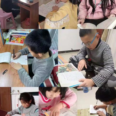 【宫尹小学】多彩寒假 快乐成长