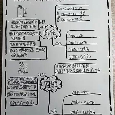 五年级数学活动-绘制圆柱与圆锥思维导图