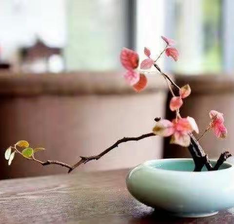 惊心动魄的古诗词大赛                               —于都县城关小学五（4）班淑怡