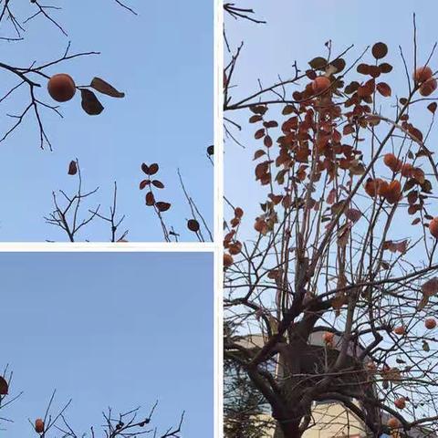2019年11月12日于北京市大成学校研修